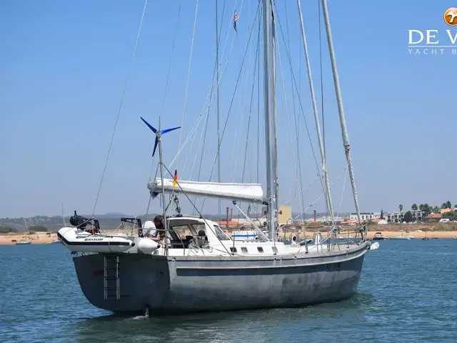 Asante Sloop 50