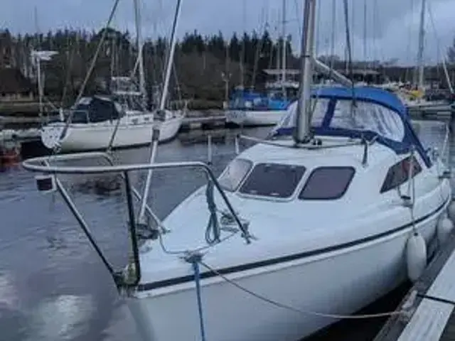 Hunter Ranger 245