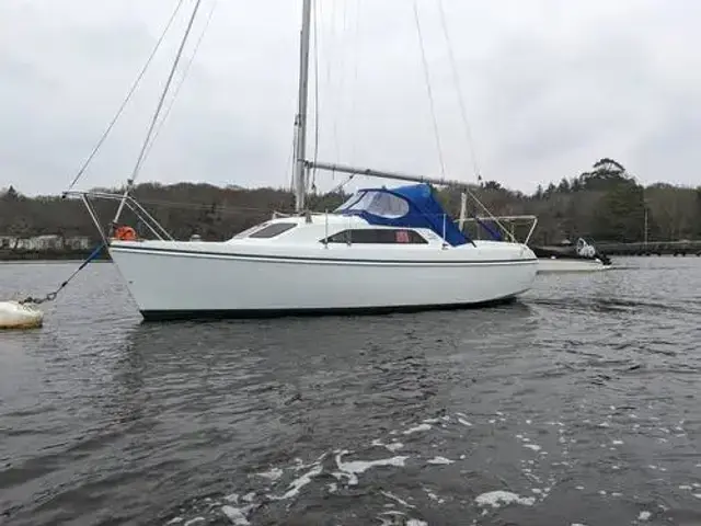 Hunter Ranger 245