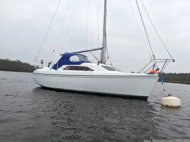 Hunter Ranger 245