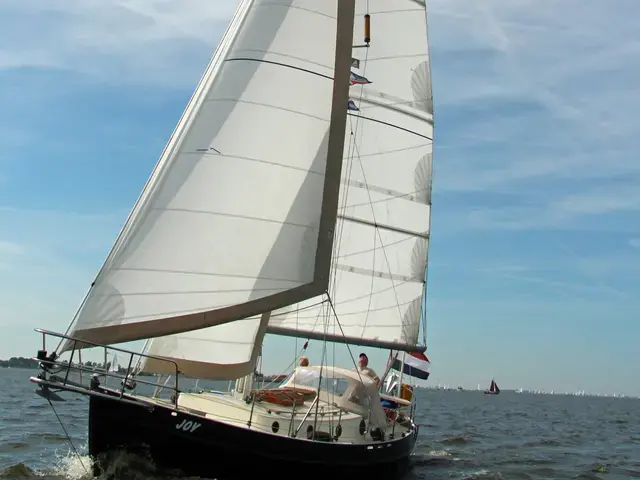 Danish Rose 31