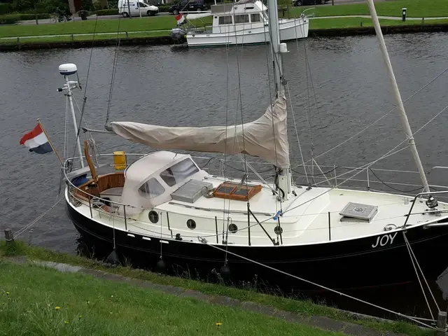 Danish Rose 31