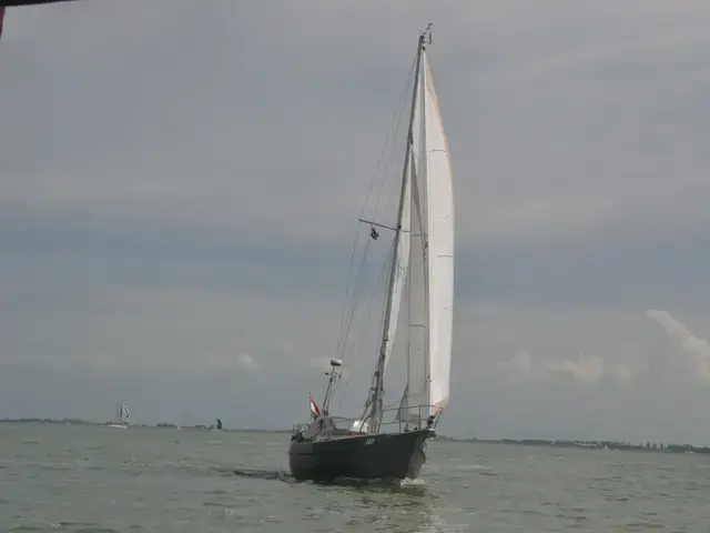 Danish Rose 31