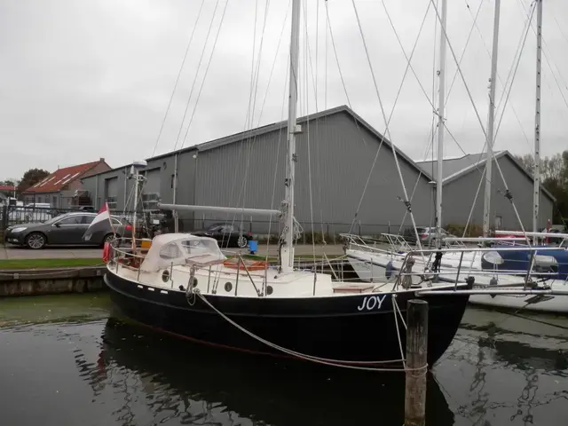 Danish Rose 31