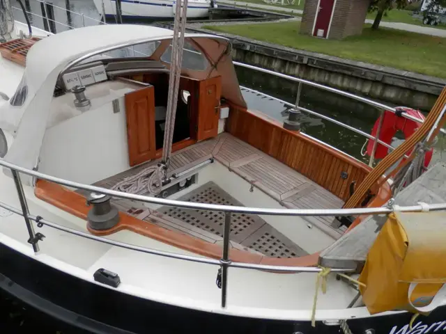 Danish Rose 31