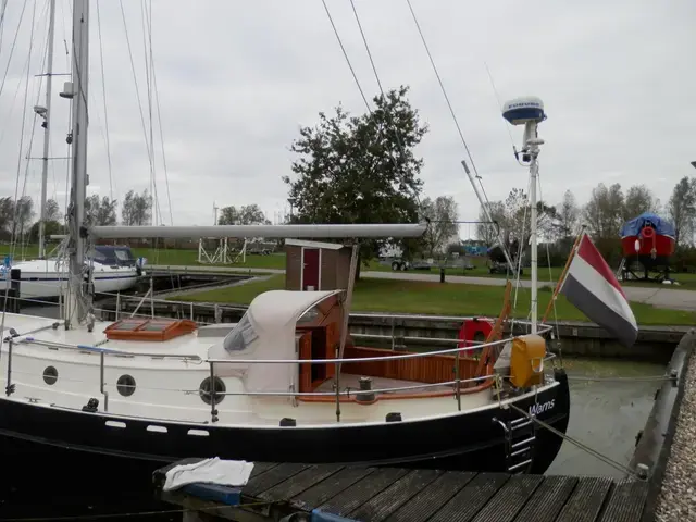 Danish Rose 31