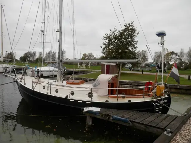 Danish Rose 31