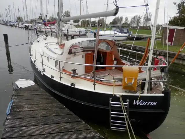 Danish Rose 31