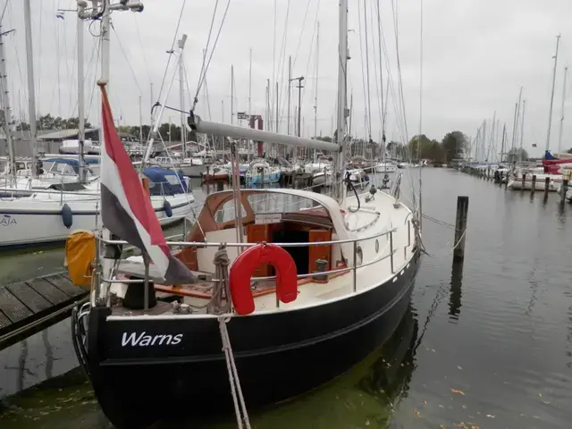 Danish Rose 31