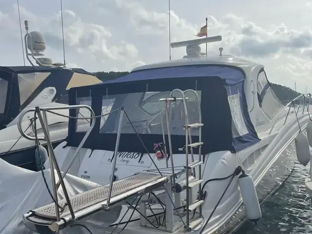 Sea Ray Sundancer 455