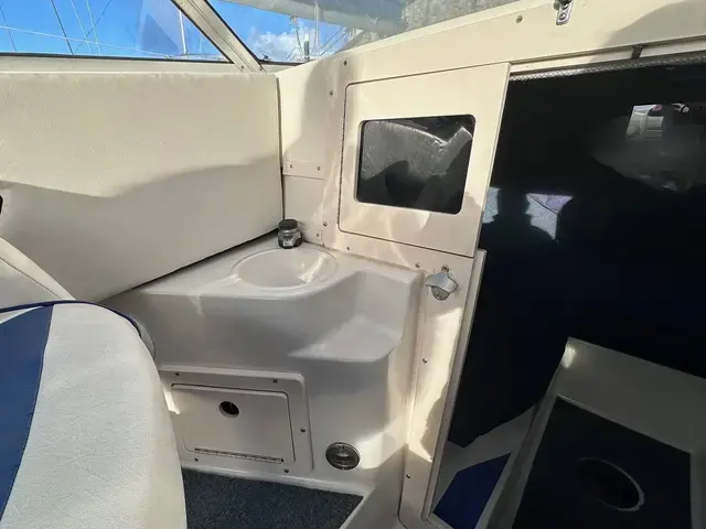 Sea Pro Citation 22