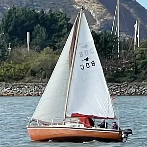 1976 Hurley Signet Super 20