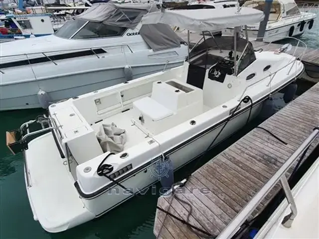 Royal Yacht Group Harpoon 255 Walkaround