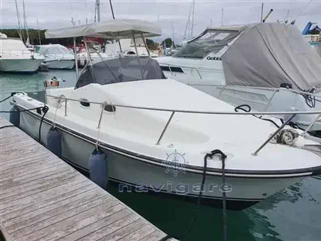 Royal Yacht Group Harpoon 255 Walkaround