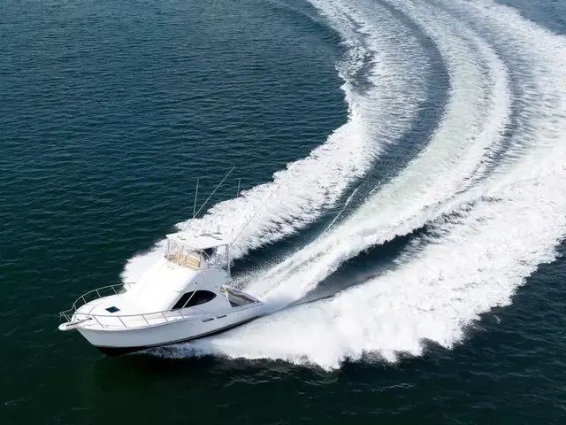 Tiara Yachts 3900 Convertible