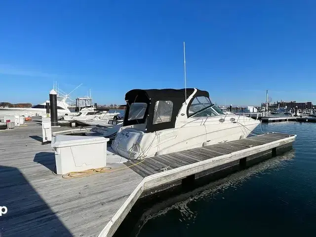 Sea Ray 300 Sundancer