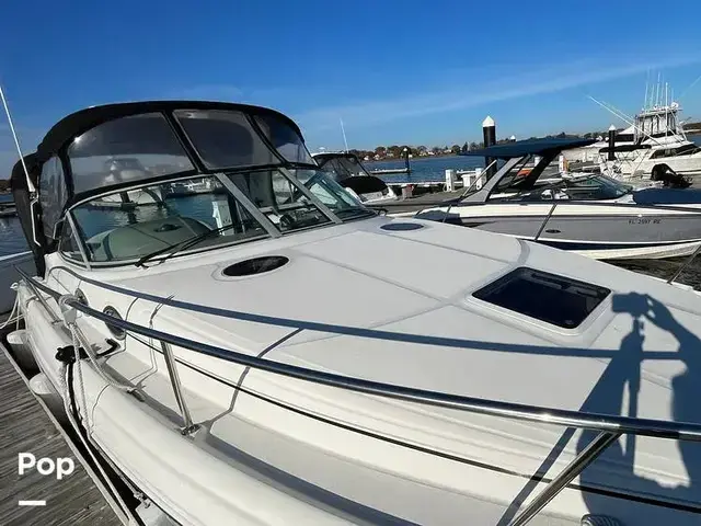 Sea Ray 300 Sundancer