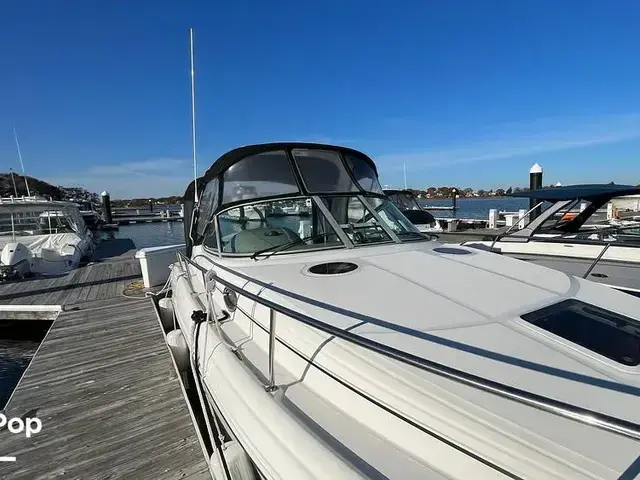 Sea Ray 300 Sundancer