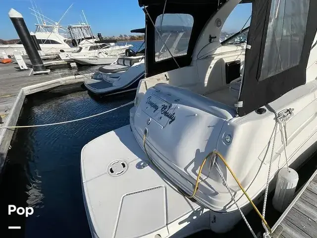 Sea Ray 300 Sundancer