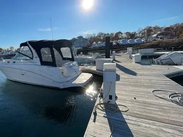 Sea Ray 300 Sundancer