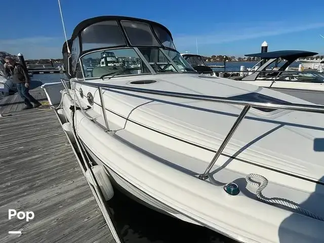 Sea Ray 300 Sundancer