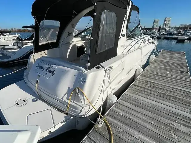 Sea Ray 300 Sundancer