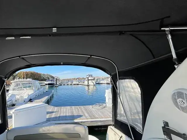 Sea Ray 300 Sundancer