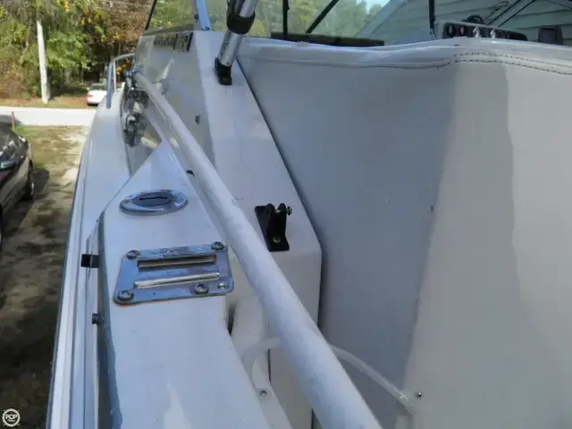 Chris Craft Amerosport 250