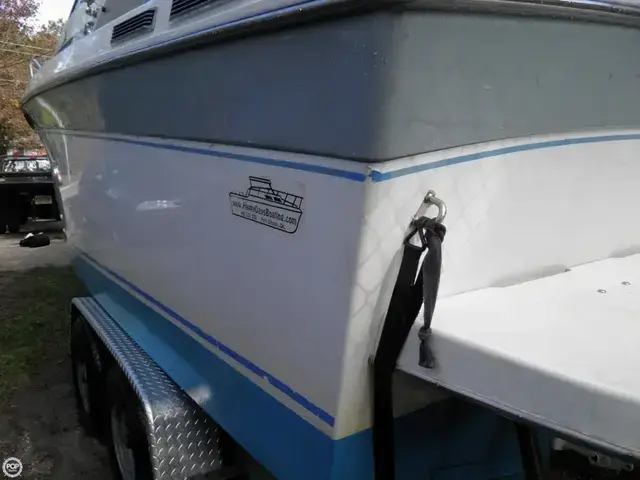 Chris Craft Amerosport 250