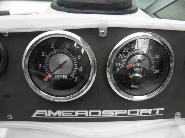 Chris Craft Amerosport 250