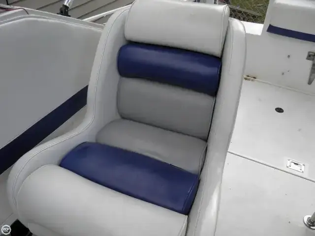 Chris Craft Amerosport 250