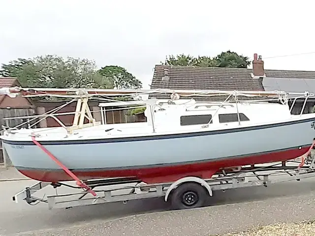 Marlow Hunter Minstrel 23