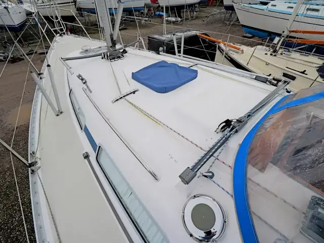 Linjett Yachts 33