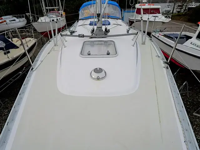 Linjett Yachts 33