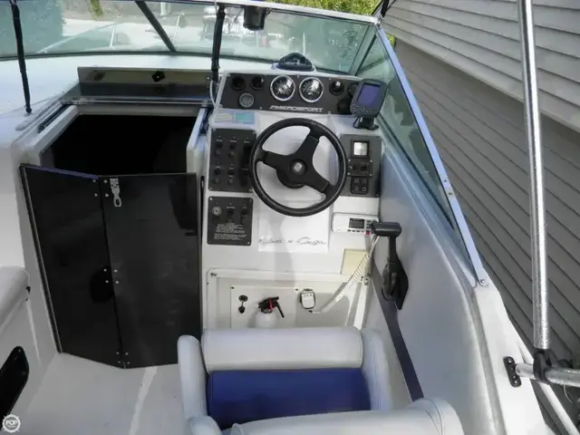 Chris Craft Amerosport 250