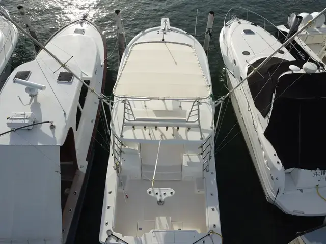 Luhrs 36 Open