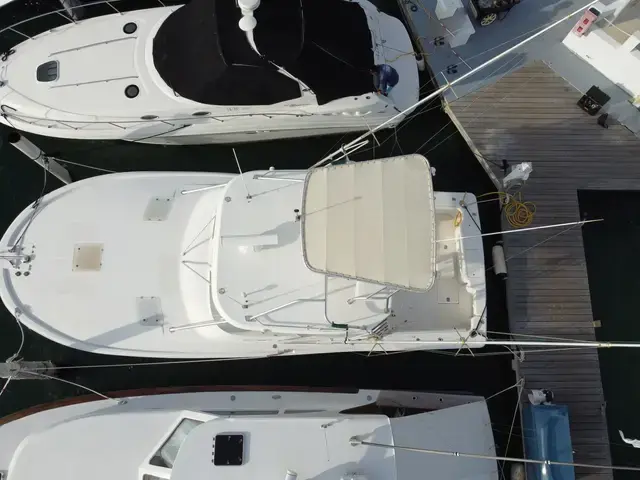 Luhrs 36 Open