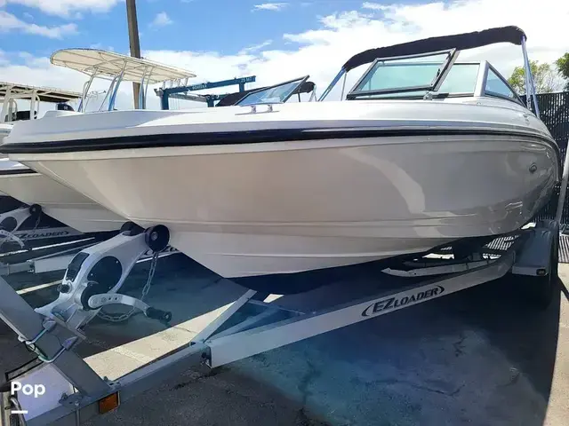 Sea Ray Spx 210 Ob