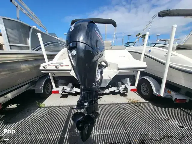 Sea Ray Spx 210 Ob