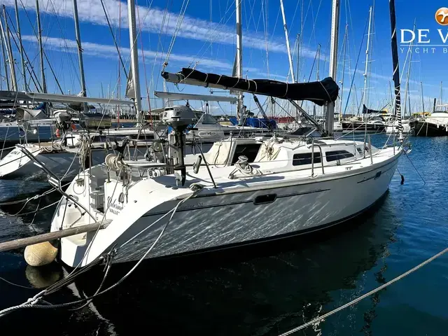 Catalina 320