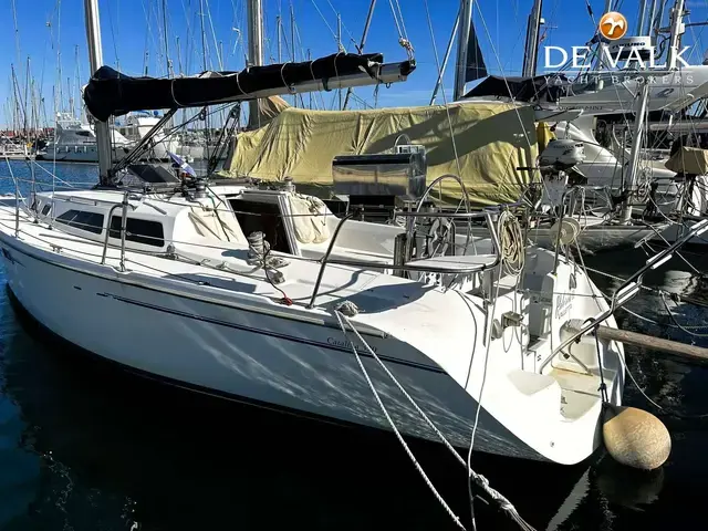 Catalina 320