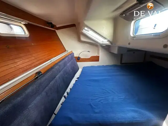 Catalina 320