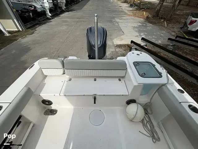 Sea Fox 248 Commander