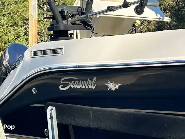 Seaswirl Striper 2601 Walkaround Io