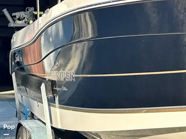 Seaswirl Striper 2601 Walkaround Io