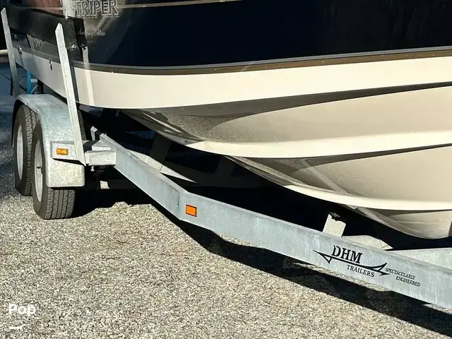 Seaswirl Striper 2601 Walkaround Io