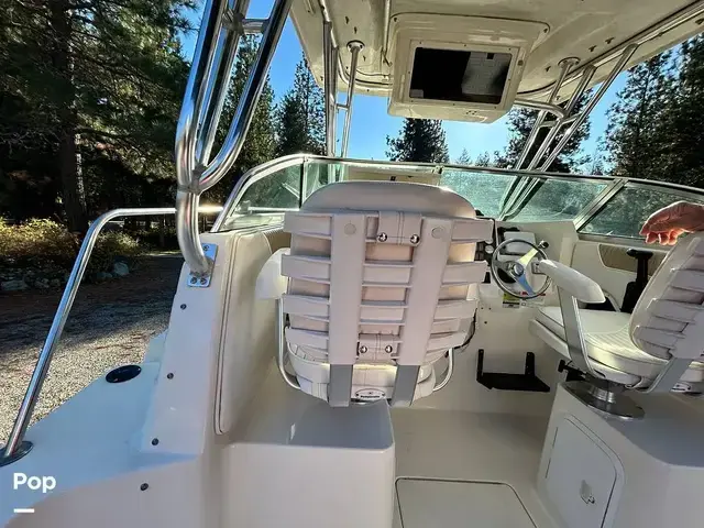 Seaswirl Striper 2601 Walkaround Io