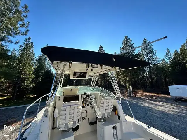 Seaswirl Striper 2601 Walkaround Io