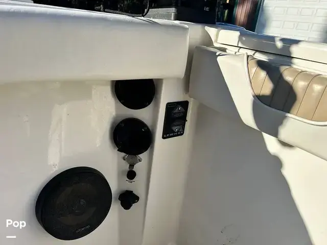 Seaswirl Striper 2601 Walkaround Io