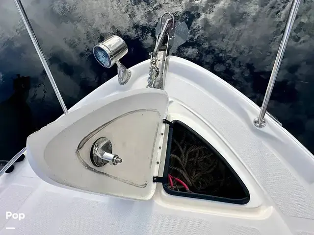 Sea Ray 340